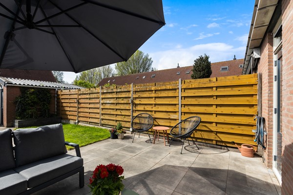 Scholekster 41_32.jpg